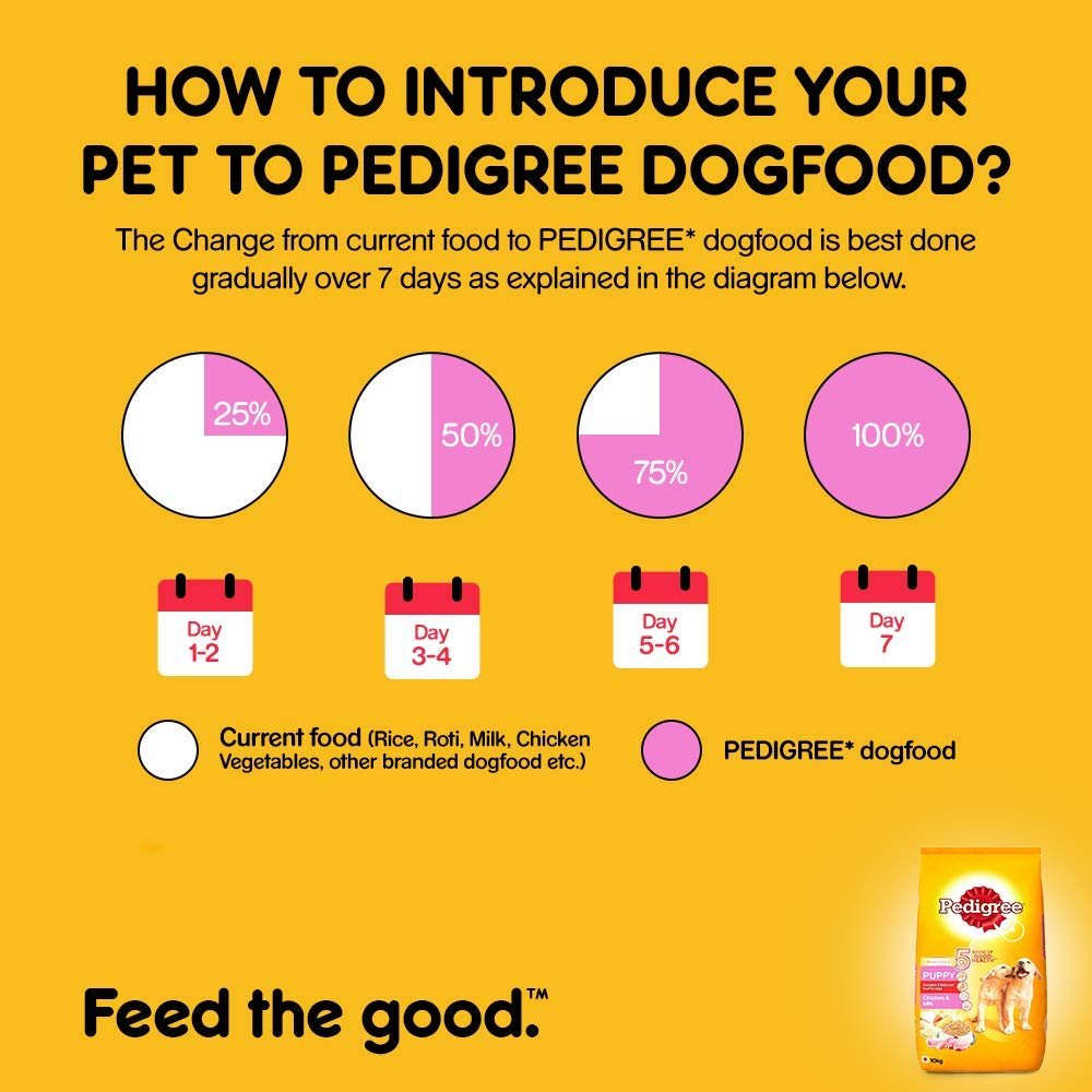 Pedigree Puppy Dry Dog Food - Image 3