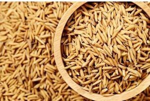 Premium Rice Paddy seeds for bird with high balanced nutritious diet for Healthy Breeding , Suitable for all types of Indian Parrots & Exotic Birds