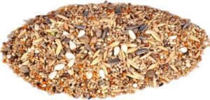 VM Mart Cocktail African Birds Seed Mix Daily Food