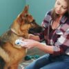 Flea Doctor Soundless Electronic Flea Comb | Electric Comb for Pets, Dogs, Cats | Naturally Kill Tick and Remove Fleas - Image 3