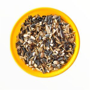 VM Mart Premium Mix Seeds Bird Food for African Grey Parrot, Sun Conure, Macaw, Alexander