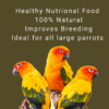 VM Mart Mix Seeds Parrot Bird Food for African Grey Parrot,Sun Conure,Macaw,Lovebird and Alexander,1.2 Kg 3