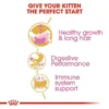 Royal Canin Persian Kitten Dry Cat Food - Image 3