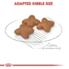 Royal Canin Mini Breed Adult Dry Dog Food - Image 4