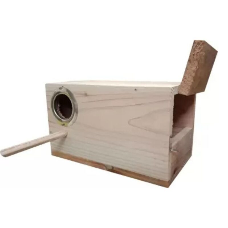 VM Mart Wooden Breeding Box for African Lovebird with Perch, 25X15X15 cm