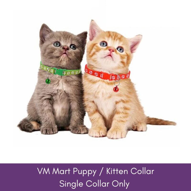 VM Mart Small Pet Dog Cat Regular Collar With Bell Buckle Adjustable Polyester Cat Dog Collar Or Safety Belt (3)