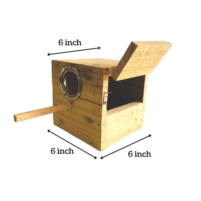 VM Mart Wooden Breeding Box for Budgies Lovebirds with Perch, 15X15X15 cm 2