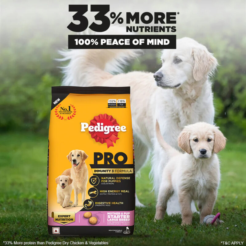 Pedigree PRO Mother & Pup Starter Large Breed Dry Dog Food
