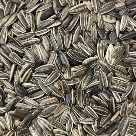 VM Mart Striped Sunflower Seed for Bird Food