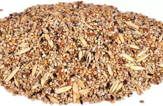 Daily Food Seed Mix for Budgies, Love Birds, Cocktails and Finches, Small Birds, 1 Kg