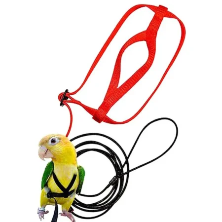 Bird Flying Training Rope Bird Training Leash Cockatoo bird harness leash Anti Bite Aviator Outdoor Harness for Parrot