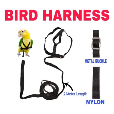 VM Mart Bird Flying Training Rope Bird Training Leash Cockatoo bird harness leash Anti Bite Aviator Outdoor Harness for Parrot - 2 metres