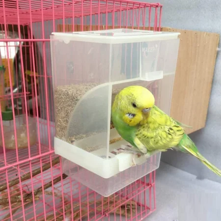 Imported Automatic Seeds Feeder ( 300 ML ) Size Suitable for Finches, Budgies, African Love Birds, Cockatiels.