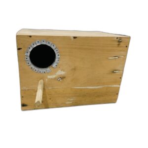 VM Mart Wooden Breeding Nesting Box for Small Conure Bird with Perch, 38X25X25 cm