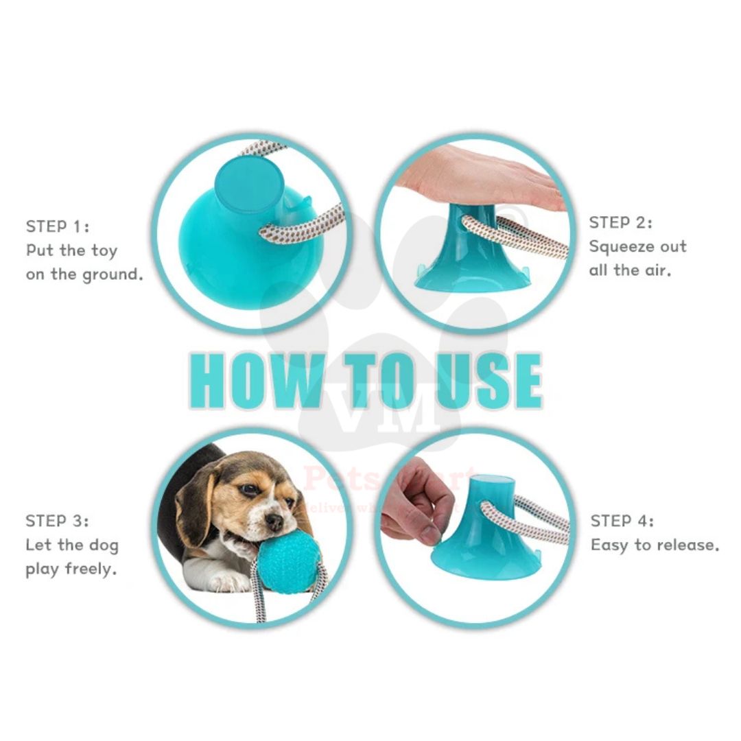 VM Mart Pet Interactive Suction Cup Ball Toy with Elastic Rope Dog Tooth Cleaning Toy - Image 4